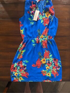 Women Blue Floral Summer Dress